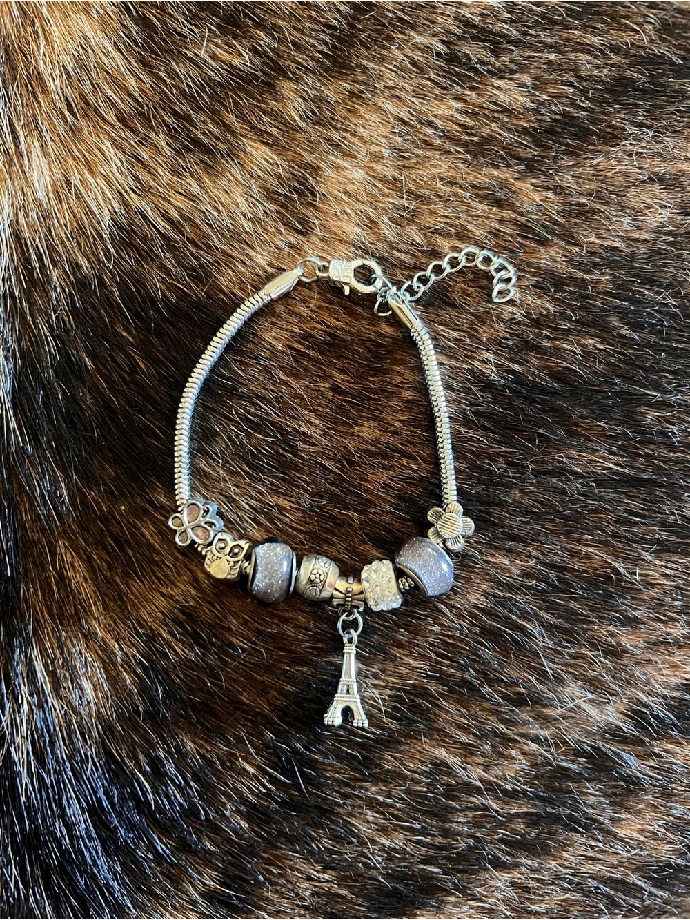 Silver Paris Charm Bracelet